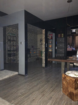 Villa v obci Trstín - s veľkým pozemkom - 11