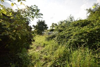 HALO reality - Predaj, rodinný dom Partizánske, Šimonovany - - 11