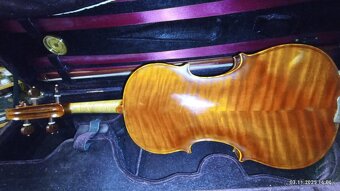 PROFESIONALNE HUSLE - 11