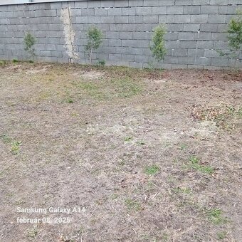 Na predaj Záhrada & Pozemok 1641m² - 11