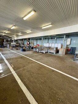 Na predaj 2 prepojené haly 1200 m2 v Dolnom Ohaji - 11