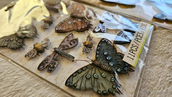 priestorové (3D) nálepky Motýľ, 2 balenia - 11