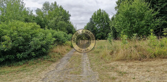 Na predaj chata na Zemplínskej Šírave, Prímestská oblasť - 11