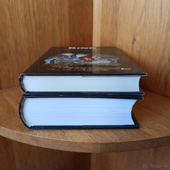 Kingovky v češtine v super stave - 1. vydanie - 11