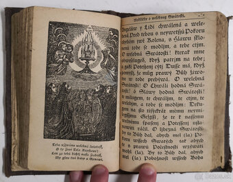 Stepná zahradka 1850 - 11