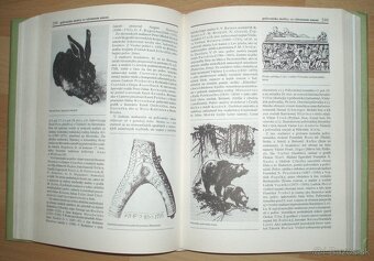 Poľovnícky náučný slovník - 11