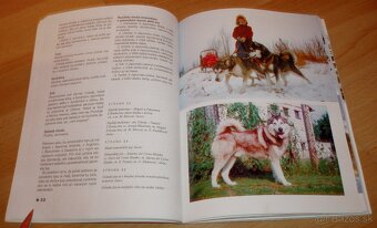 Severské plemená psov - 11