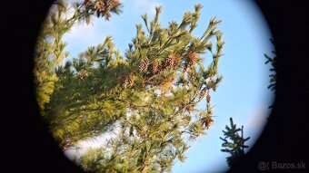 Ďalekohľad BPC 10X50 SOTEM - 11