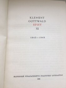 Knihy-politika-socík - 11