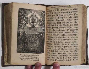 Stepná zahradka 1850 - 11