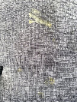 Golfový kočík - 11