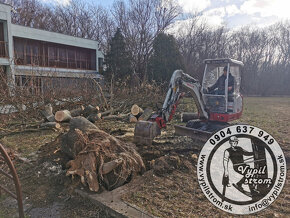 Pilenie a orezavanie stromov, kosenie a udrzba zahrad - 11