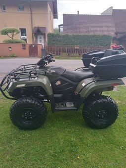 Arctic cat - 11