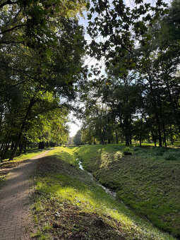 Rodinný dom s pozemkom s potenciálom výstavby Rumanová - 11