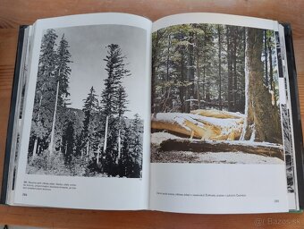 Obrazove atlasy - 11