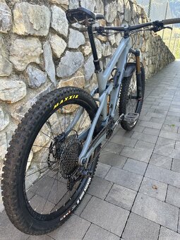 Predam TREK Remedy 9.7 - 11