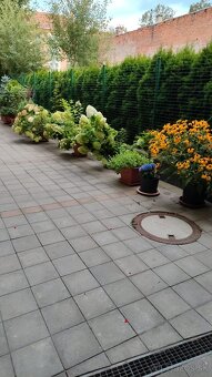 Prenajmem priestory pre ambulanciu vo Zvolene - 11