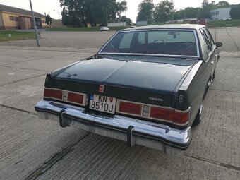 1979 Oldsmobile Delta 88 - 11