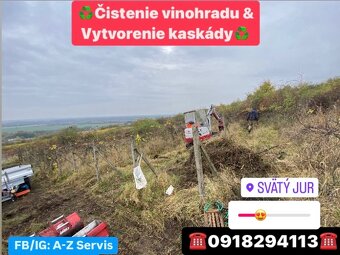 Čistenie pozemkov od náletovych drevín/Mulčovanie/Pílenie - 11