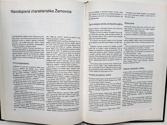 Ján Gašparík, Ladislav Osvald - Dejiny Žarnovice - 11