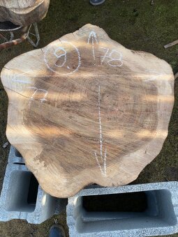 Brest priečny rez,kolač - 11