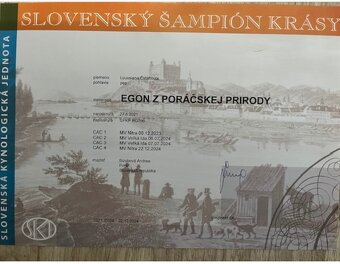 Louisianský leopardí pes - šteniatka s PP - 11