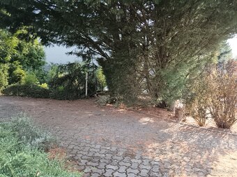 Veľký RD s veľkou záhradou a bazénom v Zlatých Moravciach - 11