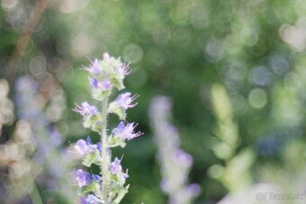 Fujifilm X-A5 telo - 11