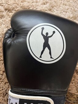Boxerské rukavice ALI - 11