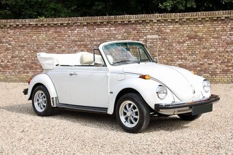 Volkswagen Beetle - 11