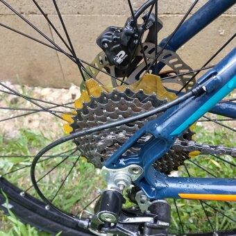 FOCUS whistler Hardtail - 11