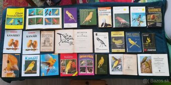 Predám knihy o kanárikoch - 11