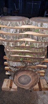 Orechové priečne rezy čerstvé - 11