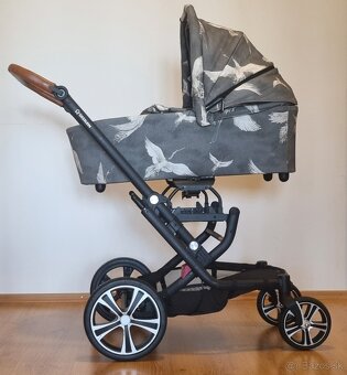 Kočík - 11
