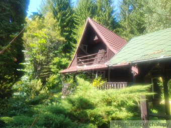 Chata uprostred lesa neďaleko viacerých lyžiarskych stredí - 11