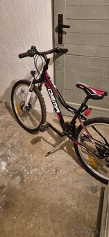 Bicykel Dema - 11
