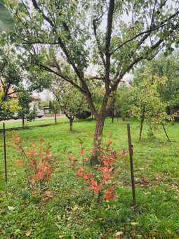 Pozemok na stavbu domu, 800 m2, Göncruszka - 11