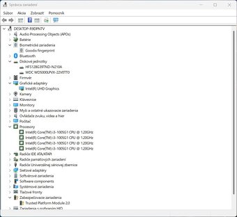 Ideapad 3 14IIL05 /Intel Core i3-1005G1/8GB RAM/FHD/SSD+HDD - 11