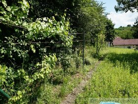 Relax a súkromie v záhradnej chatke  v obci Ratnovce pri - 11