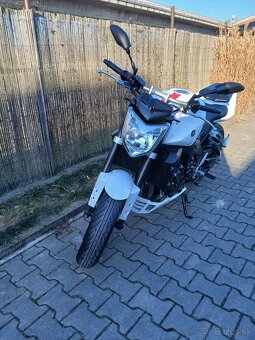 Yamaha FZ1 - 11