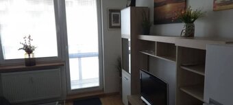 DLHODOBÝ PRENÁJOM / GARSÓNKA / SENICA / - 11