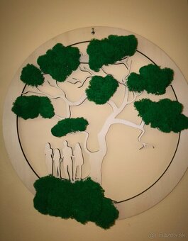 Machové obrazy - 11