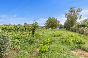 Ponúkame na predaj veľmi príjemný rodinný dom v Jakubove - 11