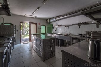 Restika na prenajom - 11