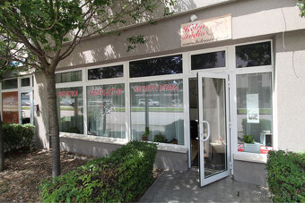 ZARIADENÝ OBCHODNÝ PRIESTOR V BA – PODUNAJSKÉ BISKUPICE - 11