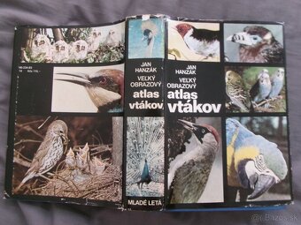 Veľký obrazový atlas vtákov - Jan Hanzák. - 11