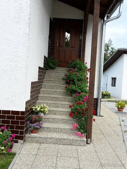 Vymyvana dlazba - 11