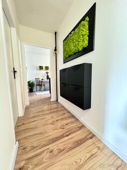 2-izb byt s balkónom- Vnútorná ul.(Staré sídlisko) - 11
