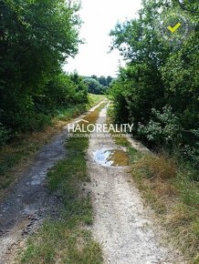 HALO reality - Predaj, rodinný dom Jablonica, Veľký pozemok  - 11