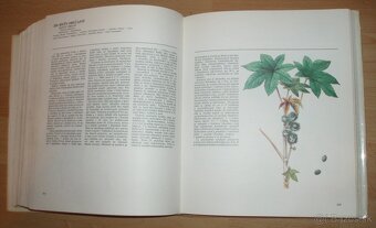 Atlas Liečivých rastlín a lesných plodov - 11